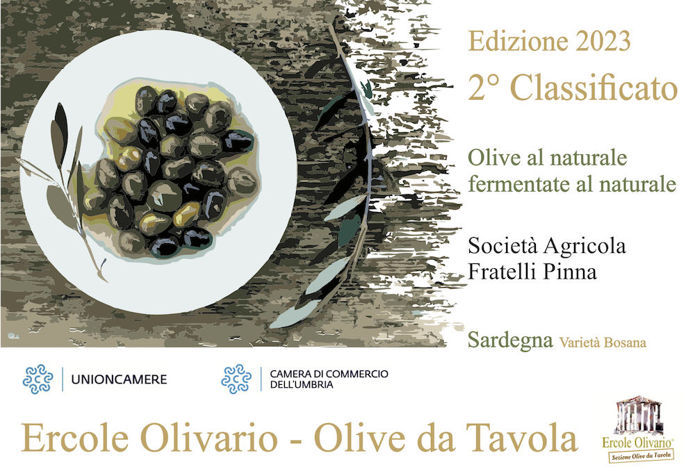 2° classificato al Concorso Ercole Olivario – Sezione Olive da Tavola