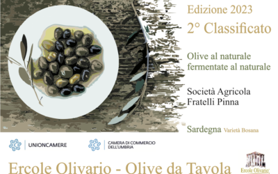 Selezione Olive da mensa: 2° classificato al Concorso Ercole Olivario