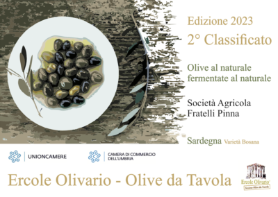 2° classificato al Concorso Ercole Olivario – Sezione Olive da Tavola
